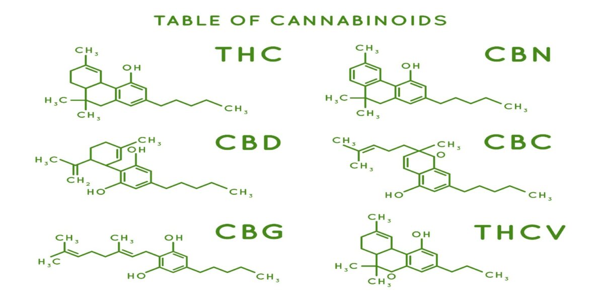 Different Types Of Cannabinoids – Brain Body Health